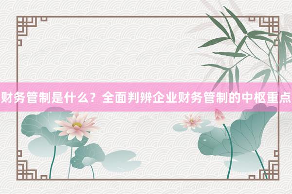 财务管制是什么？全面判辨企业财务管制的中枢重点